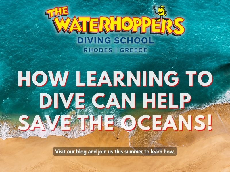 How Learning to Dive Can Help Save the Oceans